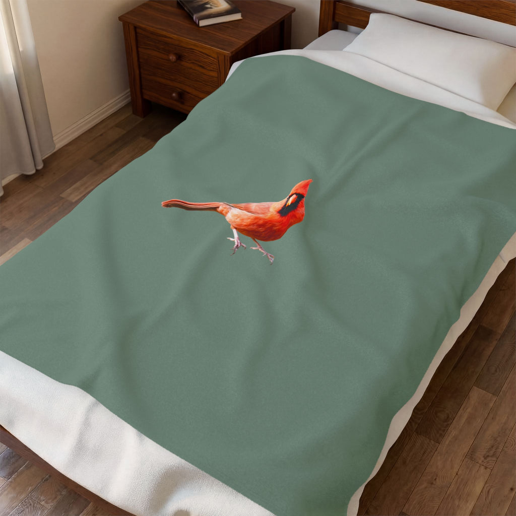 Velveteen Plush Blanket