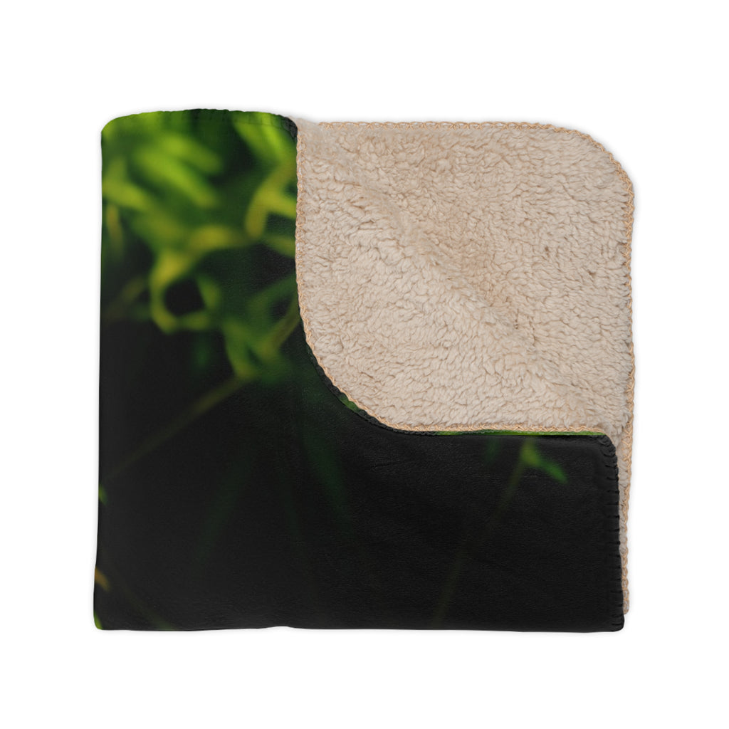 Tan Sherpa Blanket