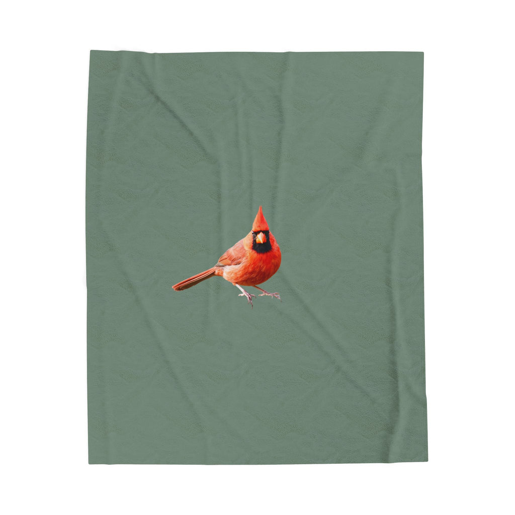 Velveteen Plush Blanket